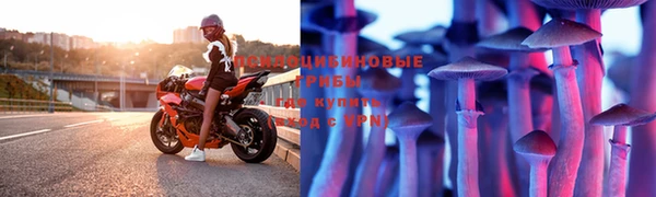 марки nbome Белокуриха