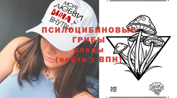 марки nbome Белокуриха
